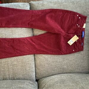 Mauve corduroy jeans. A little flare at the bottom. Super soft. Brand new.